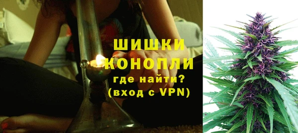 ПСИЛОЦИБИНОВЫЕ ГРИБЫ Богородск